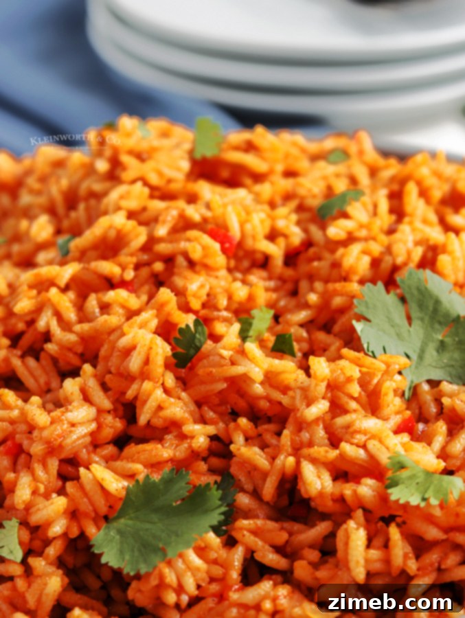 Flavorful Fiesta Rice 10 A hearty dinner recipe featuring Spanish rice as a side dish.