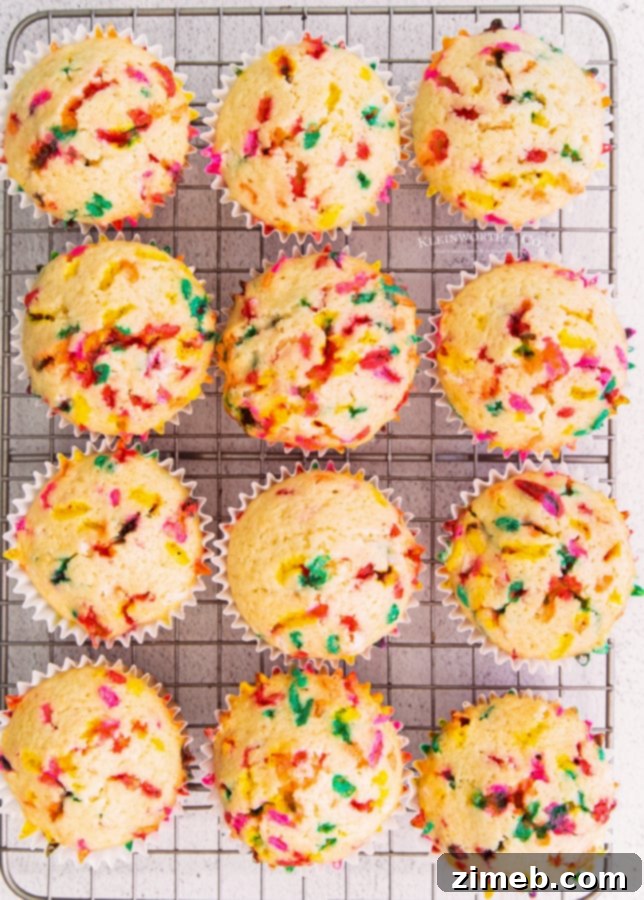 Festive Funfetti Cupcakes 6 Baked Funfetti Cupcakes
