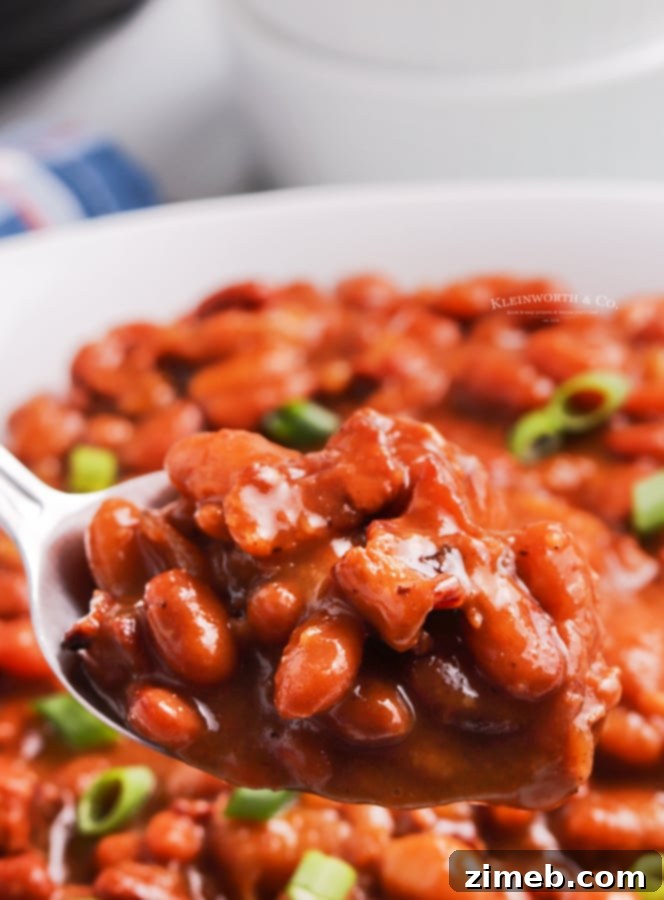 Ultimate Instant Pot Baked Beans 3 No soak Instant Pot Baked Beans - a close-up of the delicious and easy-to-make BBQ side dish.