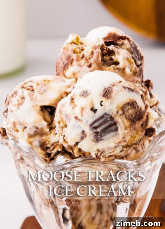 Homemade Moose Tracks No Churn Ice Cream 22 A bowl of super easy, no-churn Moose Tracks Ice Cream