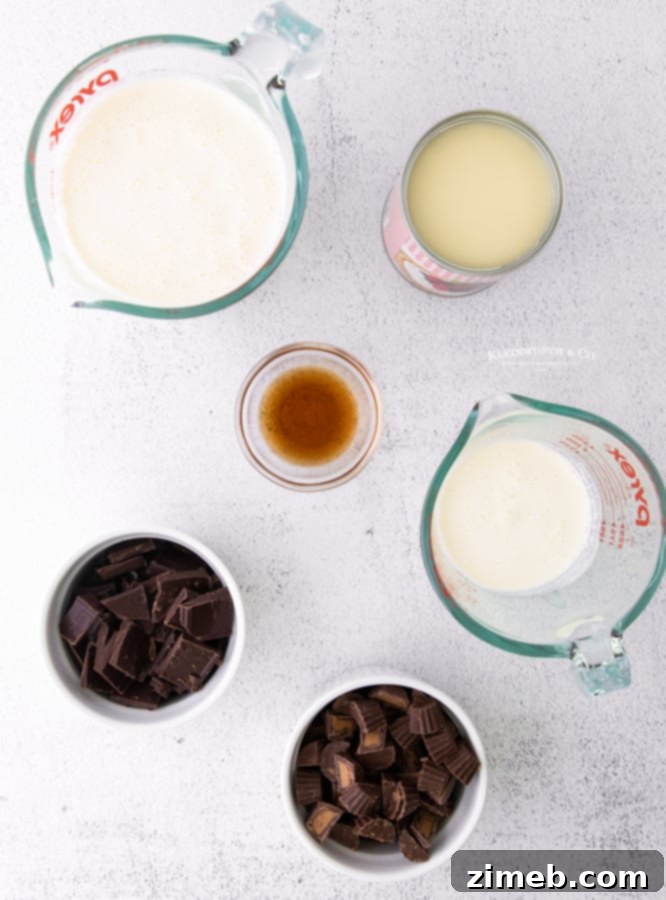 Homemade Moose Tracks No Churn Ice Cream 7 Arrangement of ingredients for making no-churn Moose Tracks Ice Cream
