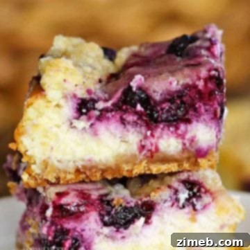 Classic Samoa Cookie Bars 19 Blueberry Cheesecake Bars recipe