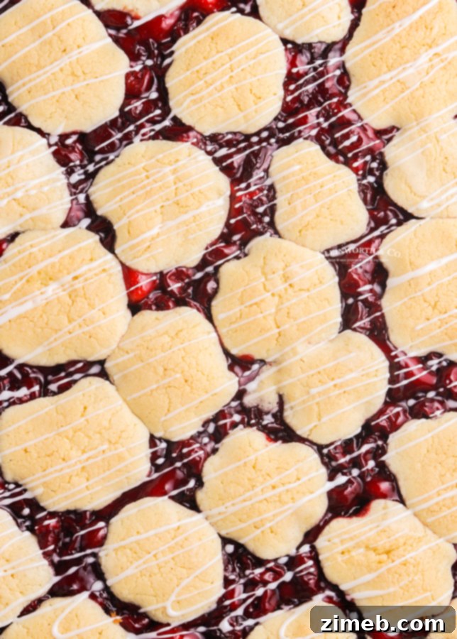 Ruby Red Cherry Squares 18 Classic Kuchen Bars, a delightful cherry dessert, showing the moist cake base and fruit filling.