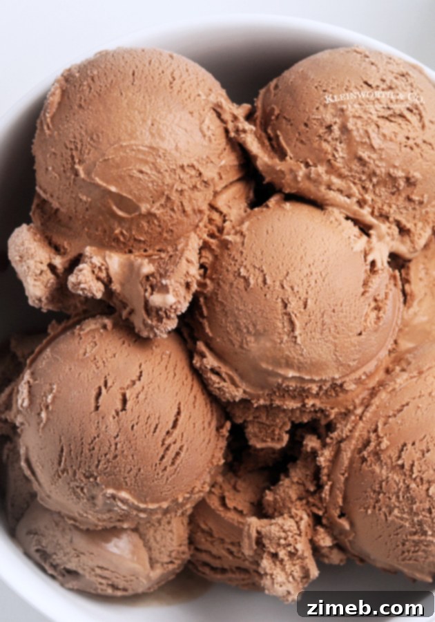 Heavenly Chocolate Milkshake 4 Decadent chocolate ice cream, the essential base for a rich and creamy homemade milkshake.