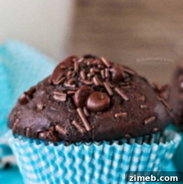Chocolate Overload Muffins