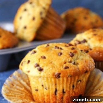 JUMBO Bakery-Style Chocolate Chip Muffins Recipe