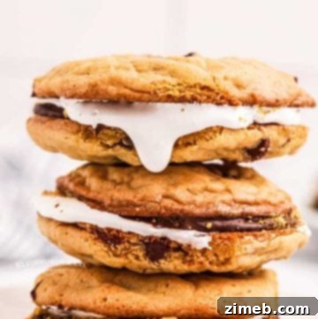 Decadent Whoopie Pie Delights 12 s'mores cookie recipe