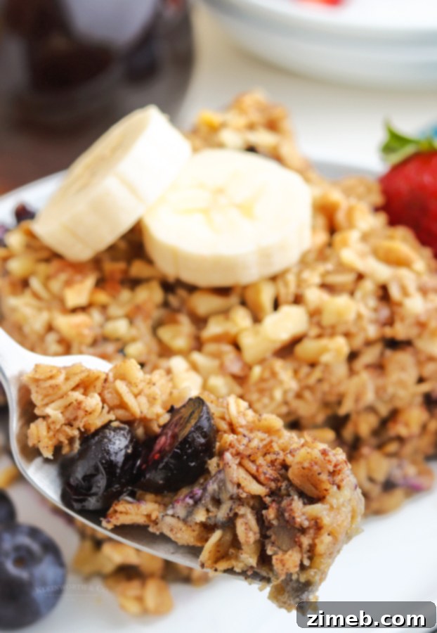 Warm Blueberry Oat Bake 19 A spoonful of Blueberry Baked Oatmeal lifted from the dish, showing its hearty texture, baked blueberries, and a sprinkle of nuts, ready to be enjoyed.