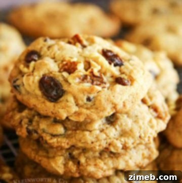 Peanut Butter Cup Stuffed Cookies 15 Oatmeal Raisin Cookies with visible oats and plump raisins.
