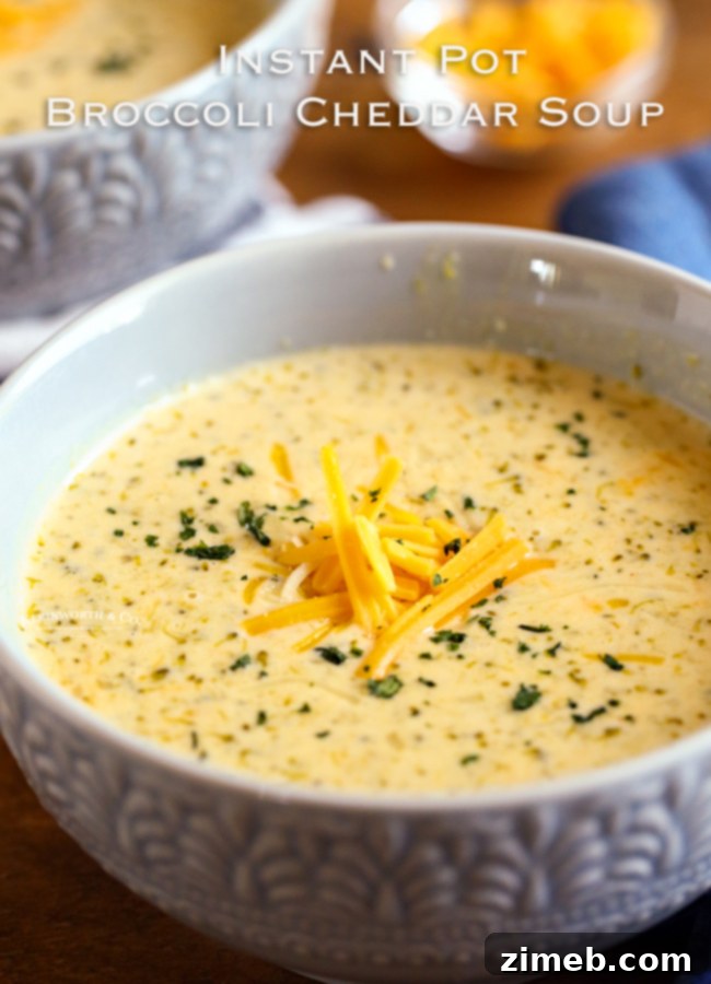 Creamy Instant Pot Broccoli Cheddar Soup 21 Instant Pot Broccoli Cheddar Soup - Ready in 30 minutes