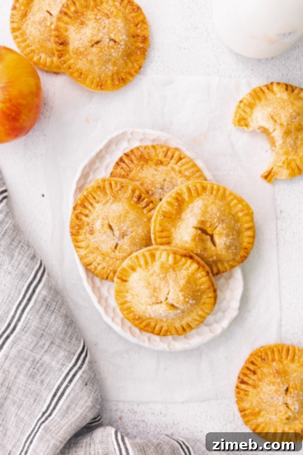 Golden Air Fryer Apple Pockets 3 apple cinnamon pies