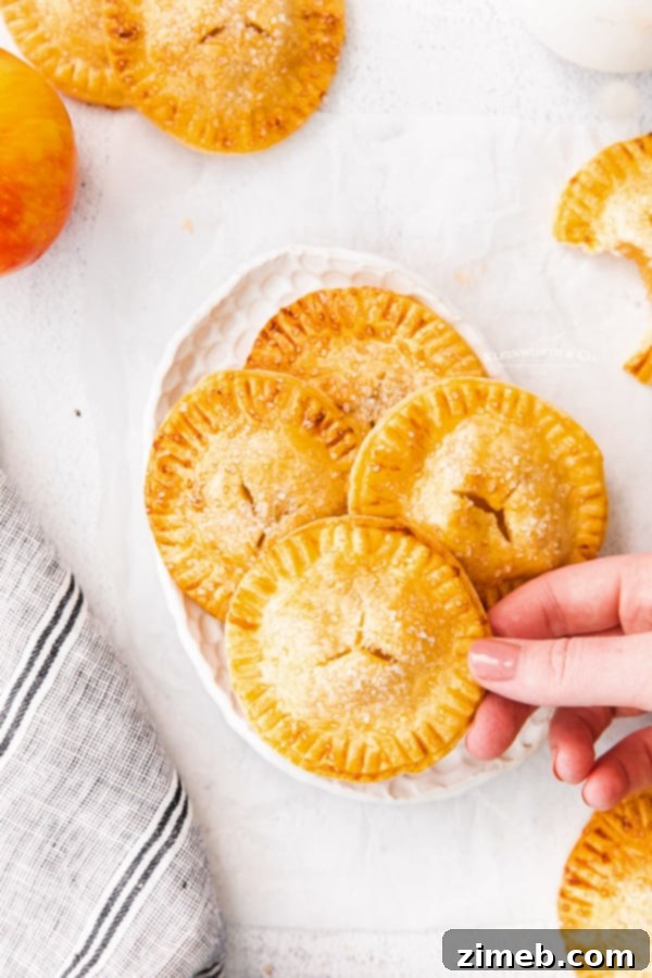 Golden Air Fryer Apple Pockets 5 recipe for Air Fryer Apple Hand Pies