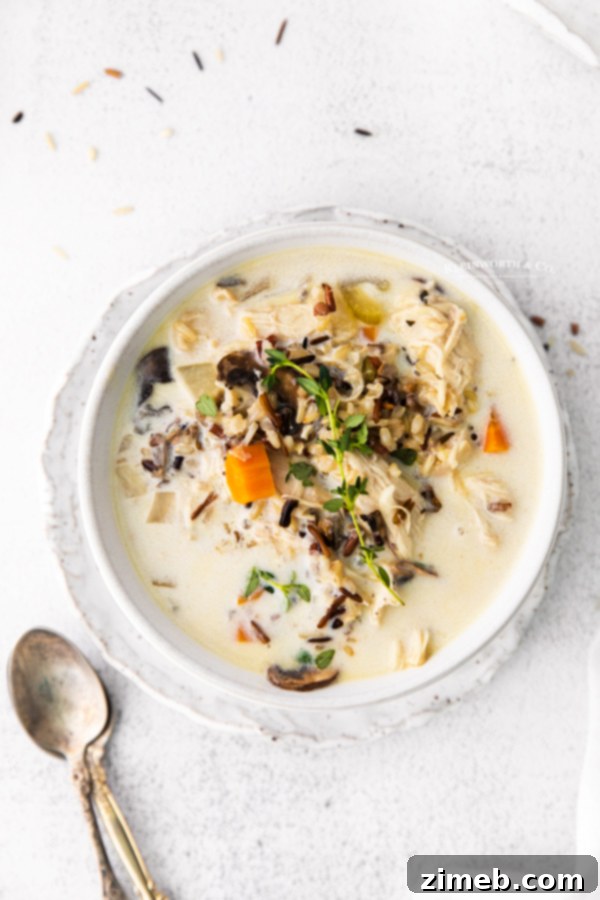 Easy recipe for Chicken and Wild Rice Soup, a wholesome meal