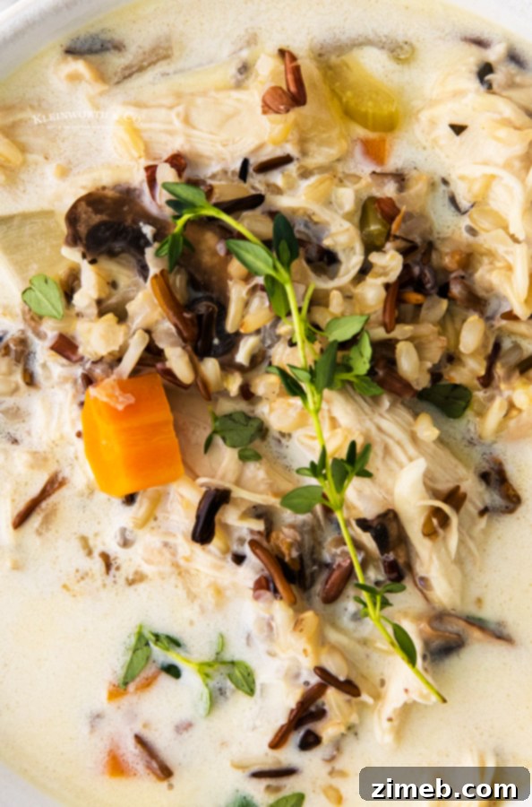 Pressure cooker Chicken and Wild Rice Soup, fast and flavorful