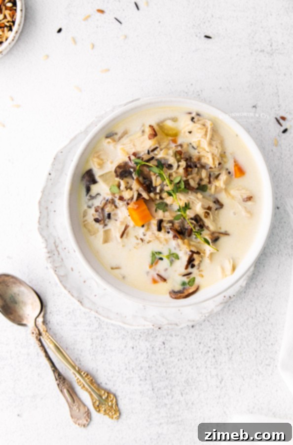 Creamy Chicken and Wild Rice Soup, perfect for cold days