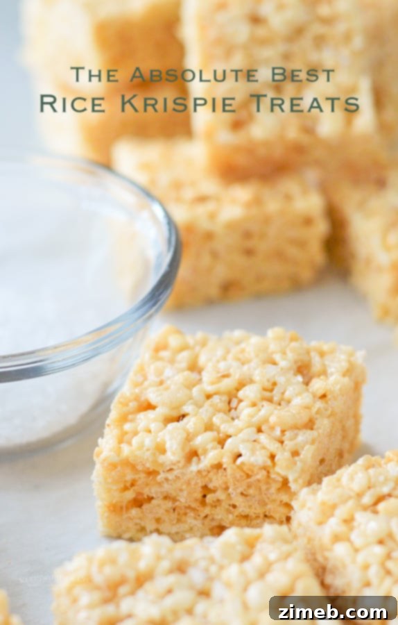 Irresistibly Gooey Rice Krispie Treats 19 The Best Rice Krispie Treats