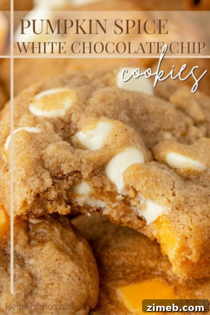 Cozy Pumpkin Spice Bites 2 Pumpkin Spice Cookies - a perfect fall dessert