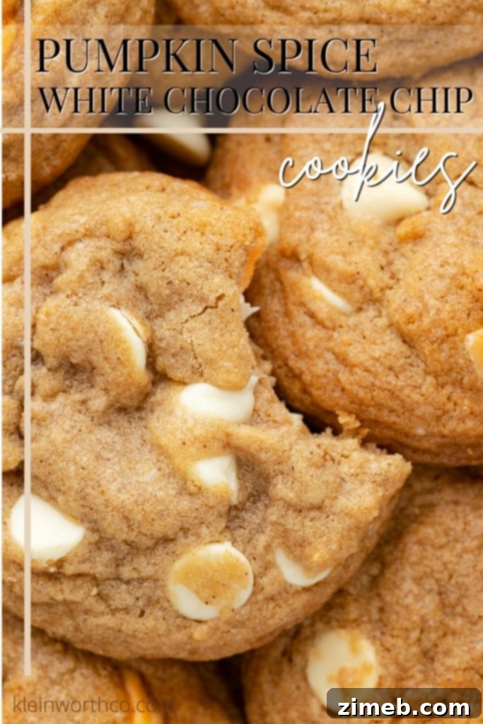 Cozy Pumpkin Spice Bites 12 Pumpkin Spice Cookies - a delightful autumn treat