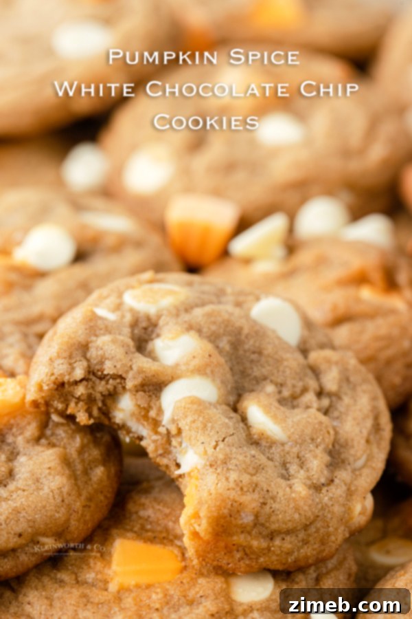 Cozy Pumpkin Spice Bites 25 Pumpkin Spice Cookies - a fall favorite