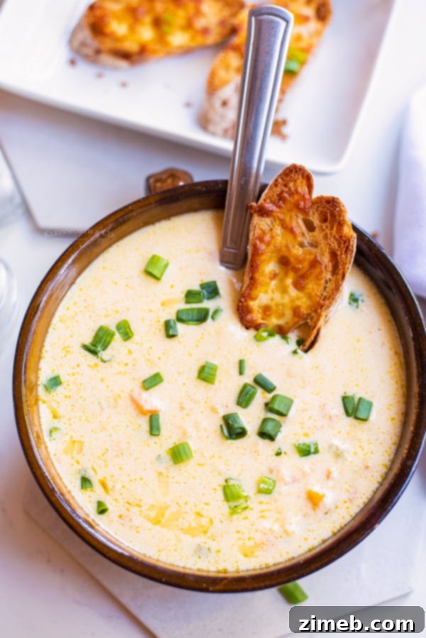 Hearty Beer Cheese Soup 9 Beer Soup
