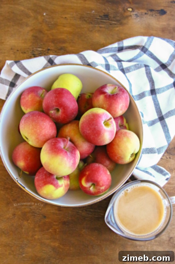 Ingredients for homemade applesauce