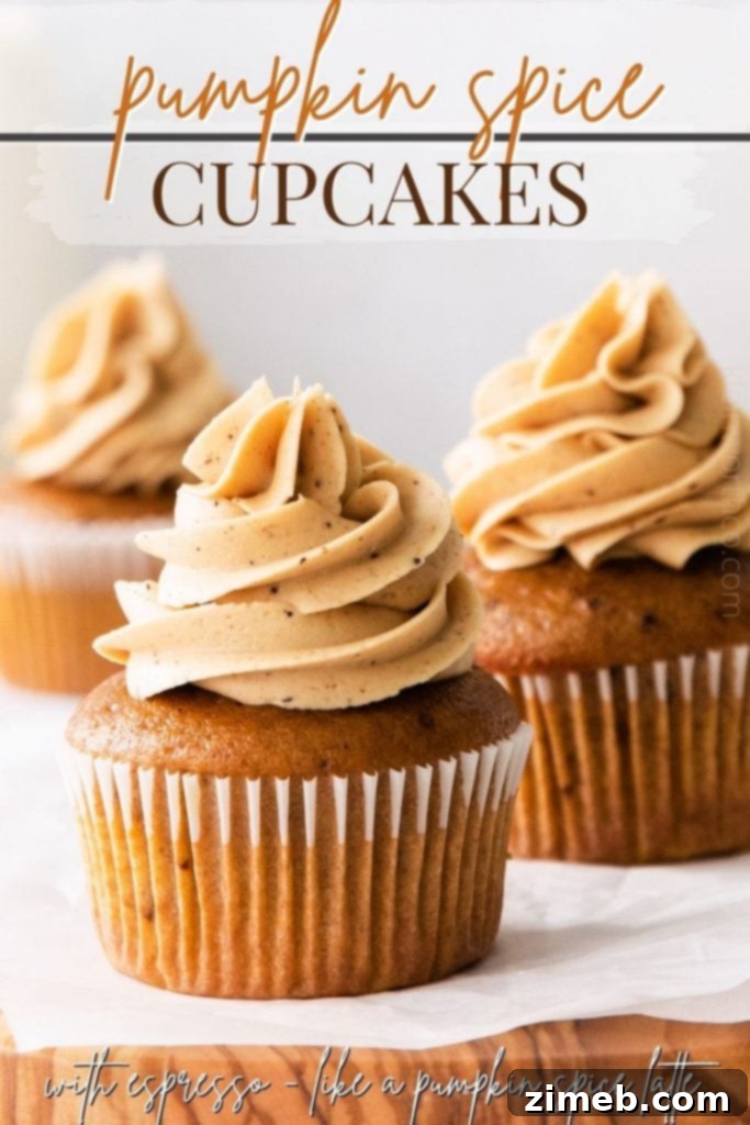 Delightful Pumpkin Spice Cupcakes topped with espresso frosting, perfect for autumn