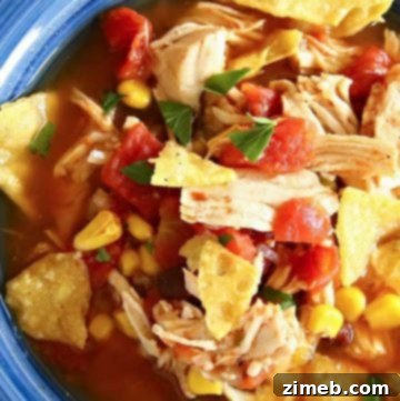Velvety Instant Pot Butternut Squash Soup 21 30 minute dinner - Instant Pot Chicken Tortilla Soup