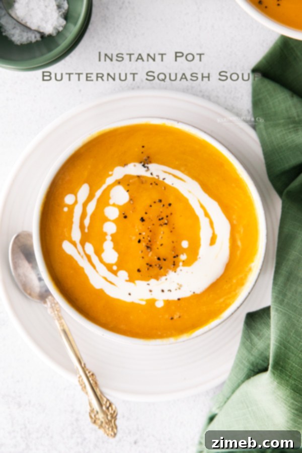 Velvety Instant Pot Butternut Squash Soup 24 Instant Pot Butternut Squash Soup - A close-up, top-down shot of the finished Instant Pot butternut squash soup, showing its smooth texture and inviting color. It's ready to be served.