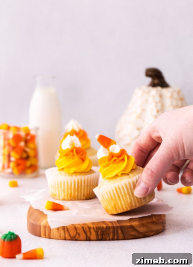 Harvest Harmony Cupcakes 12 Harvest mix cupcakes for a festive fall celebration.