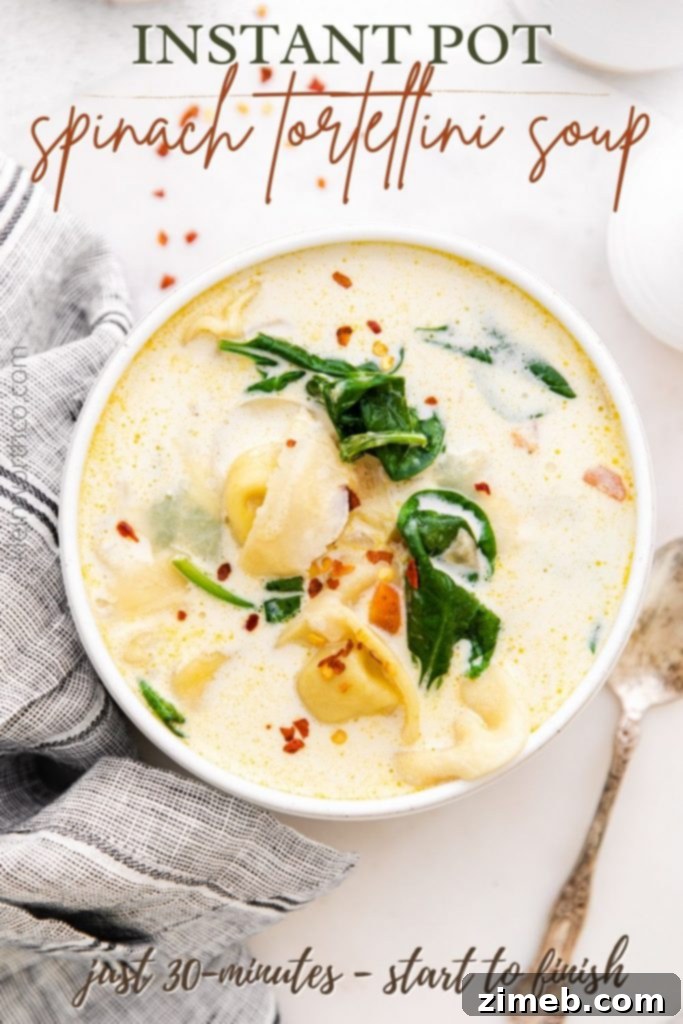 Hearty Instant Pot Spinach Tortellini Delight 2 Instant Pot Spinach Tortellini Soup - Creamy and Quick Dinner