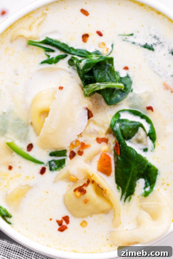 Hearty Instant Pot Spinach Tortellini Delight 5 Rustic style easy Instant Pot tortellini soup with vegetables