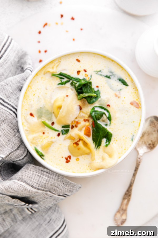 Hearty Instant Pot Spinach Tortellini Delight 6 Fast pressure cooker tortellini soup, an Italian-inspired meal