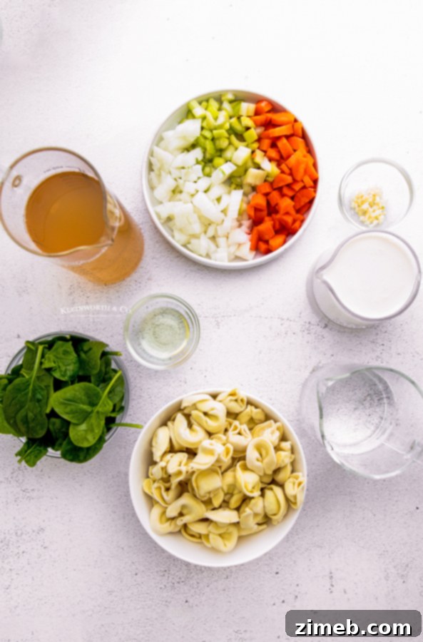 Hearty Instant Pot Spinach Tortellini Delight 7 Ingredients laid out for Instant Pot Spinach Tortellini Soup