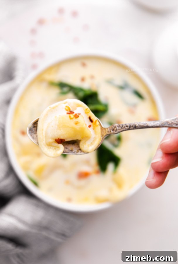 Hearty Instant Pot Spinach Tortellini Delight 9 Instant Pot creamy pasta soup with tortellini and spinach