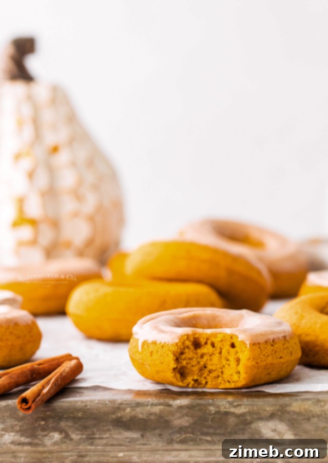 Maple Cream Cheese Frosted Baked Pumpkin Donuts 22 bite of a pumpkin donut