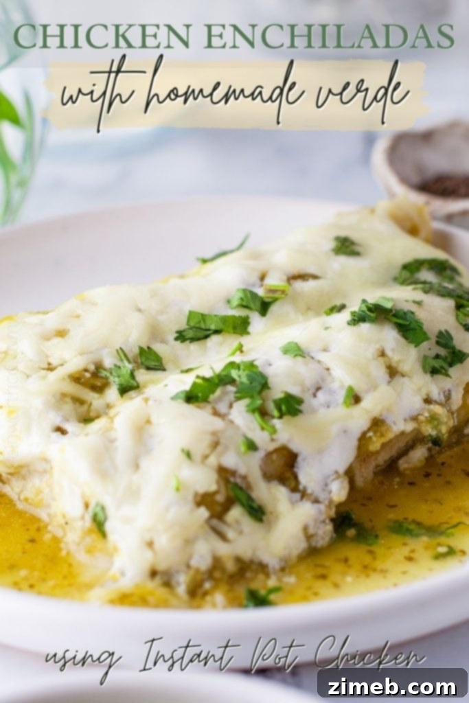 Chicken Enchiladas Verde - a traditional Mexican dish with homemade green sauce