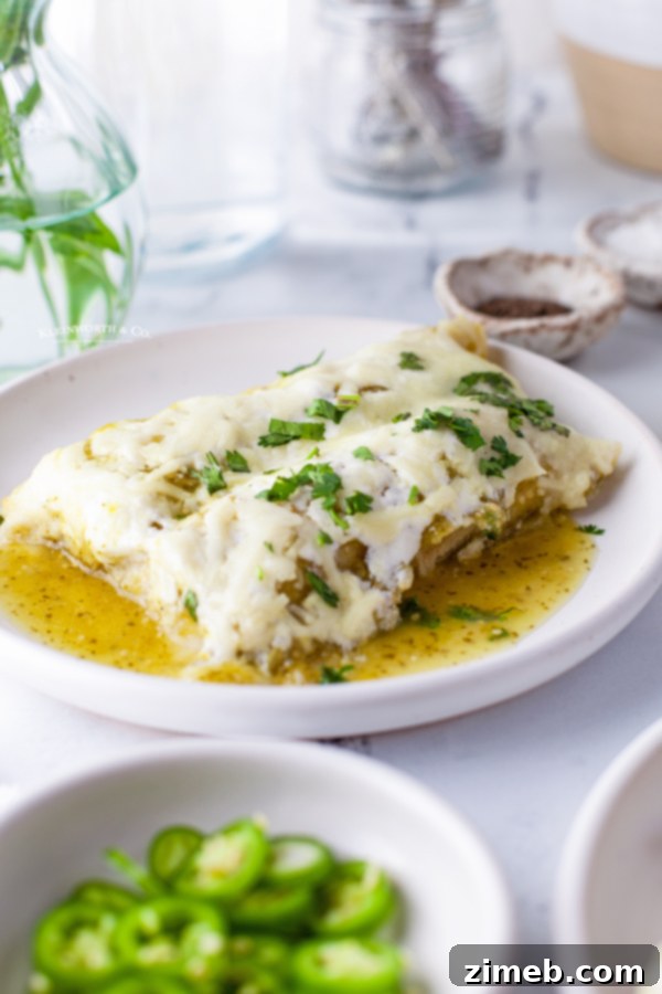 Baked chicken enchilada dinner, ready to serve