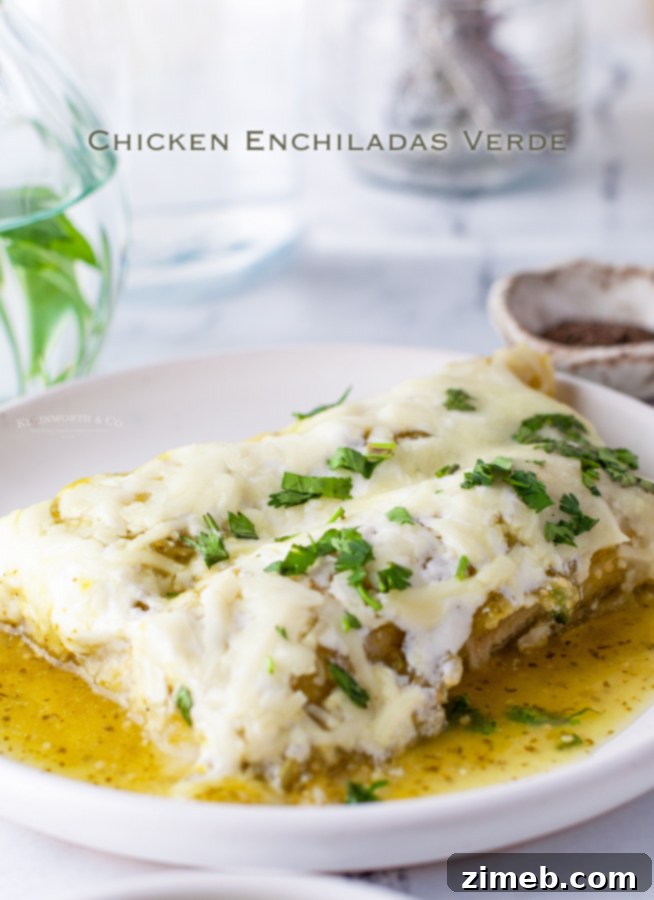 Chicken Enchiladas Verde with a side of fresh toppings