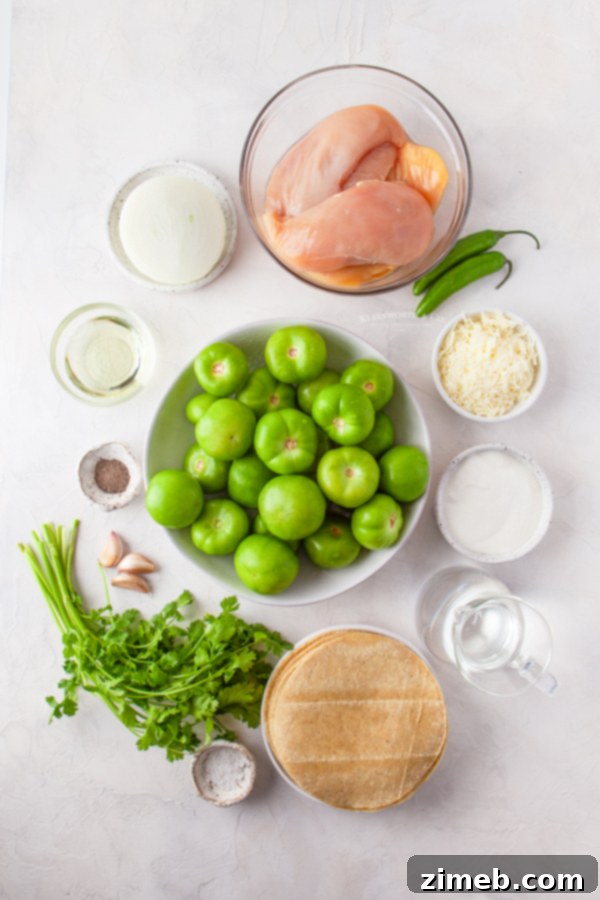 Fresh ingredients for homemade Chicken Enchiladas Verde
