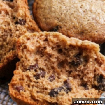 cinnamon applesauce muffins