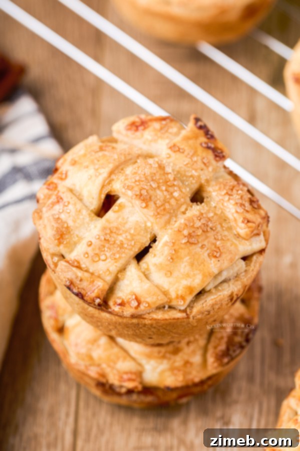 muffin tin pies