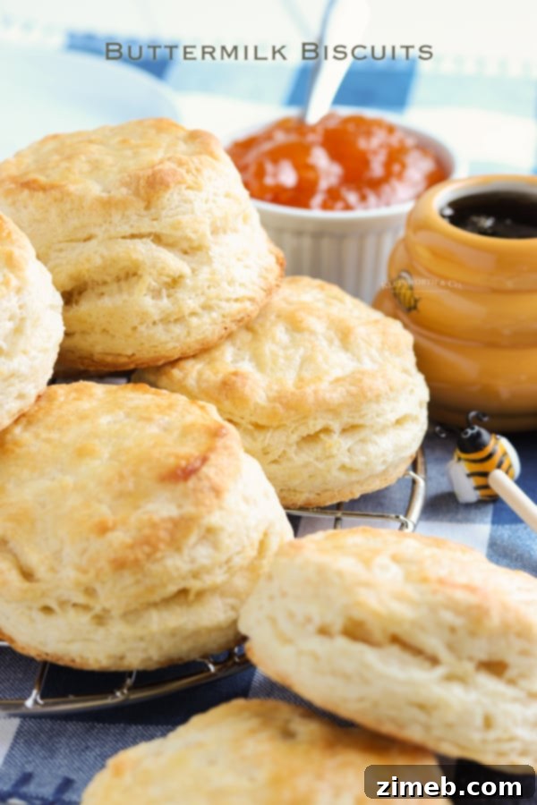 Foolproof Buttermilk Biscuits 24 Easy Buttermilk Biscuits