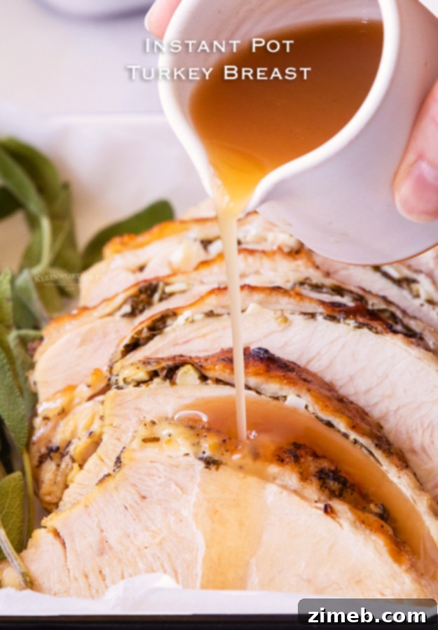 Instant Pot Turkey Breast