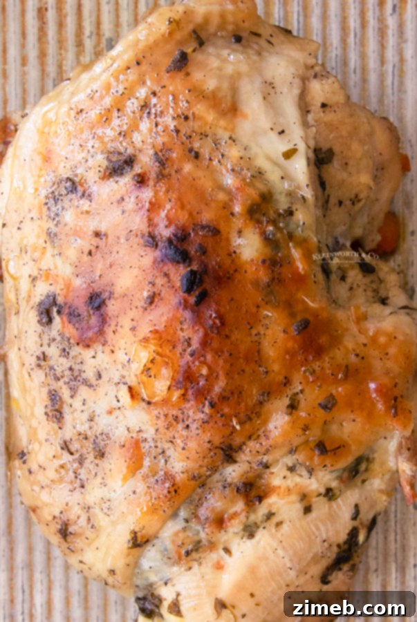 juicy turkey breast