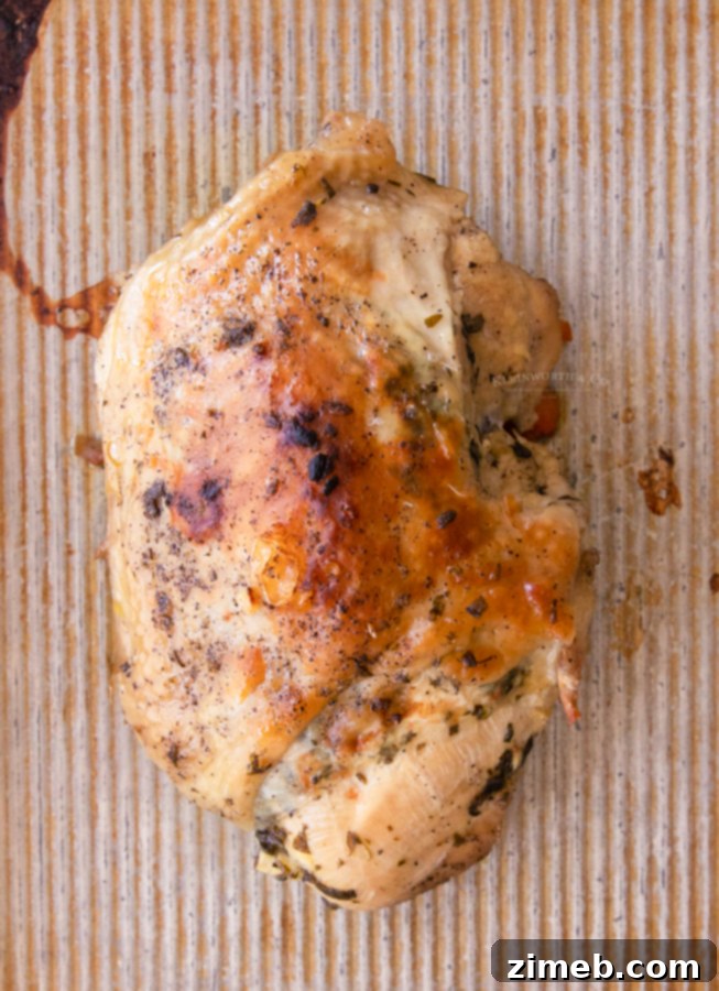 browned turkey breast