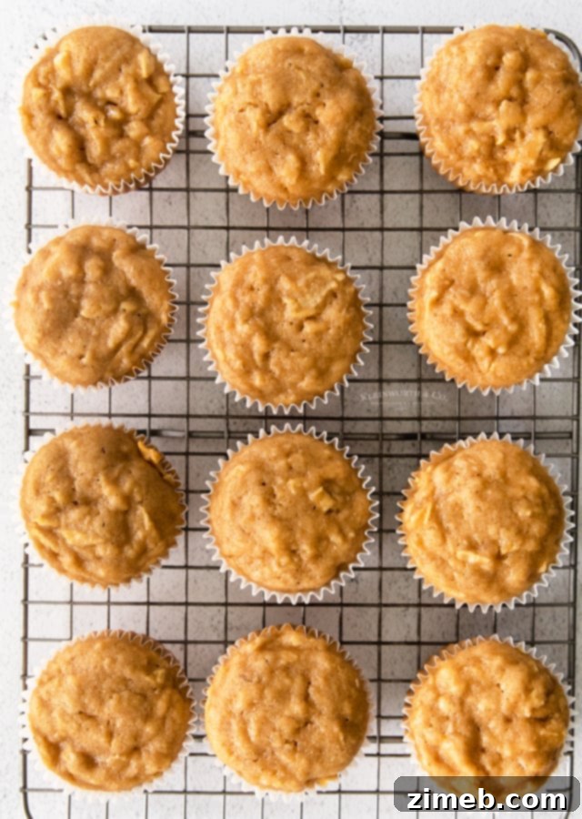 Autumn Apple Caramel Treats 8 Baked Cupcakes with Caramel and Apples