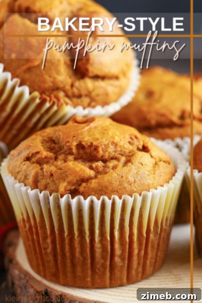 Bakery-Style Pumpkin Muffins Recipe, a delightful and moist fall treat.