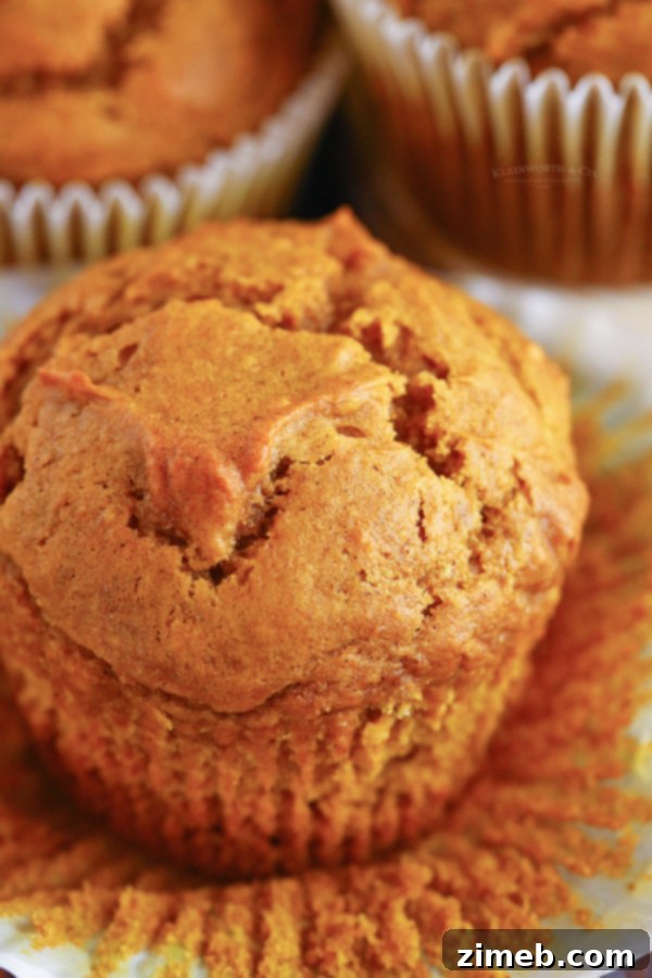 Bakery-Style Pumpkin breakfast spread.