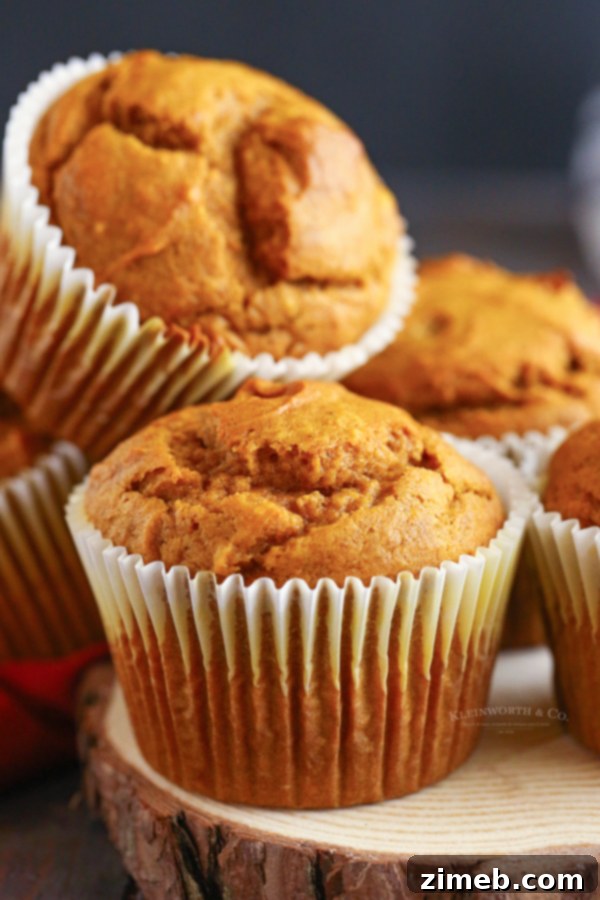 The best pumpkin muffins, golden brown and fluffy.