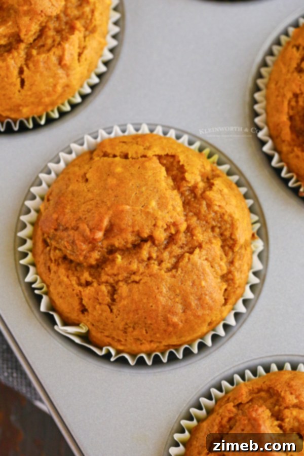 Recipe for moist Pumpkin Muffins, a delightful treat.